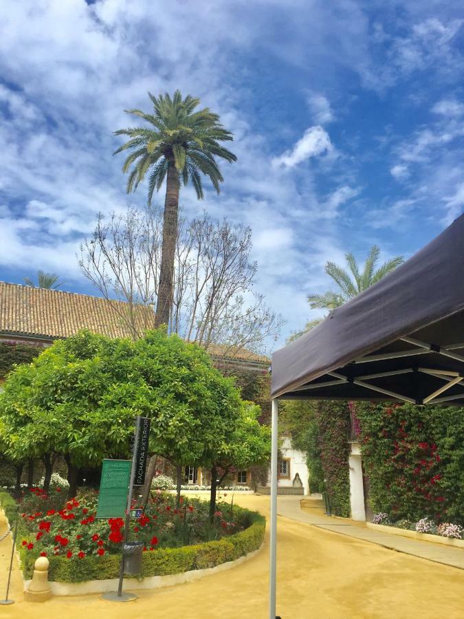Appartement Dona Maria Coronel *